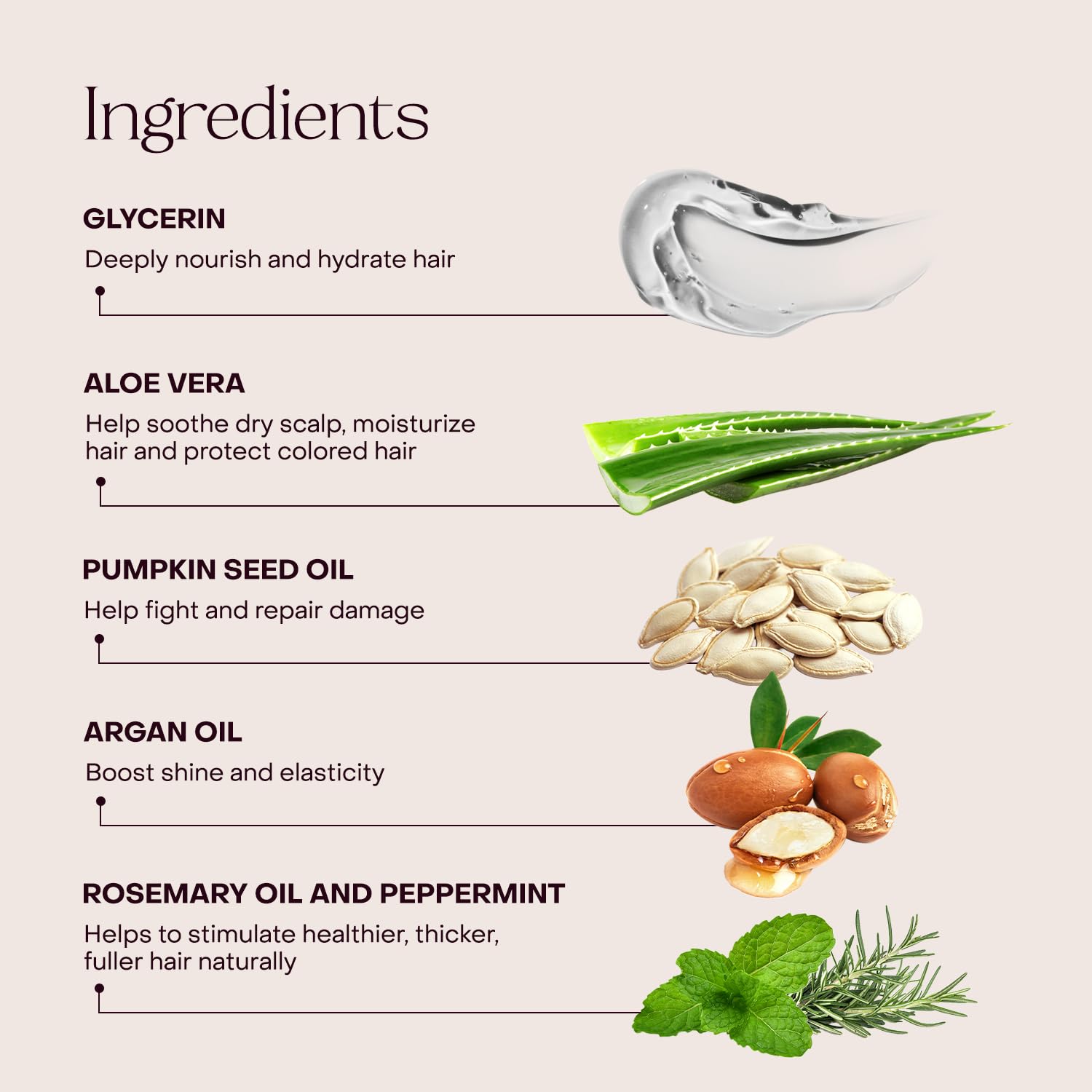 Everist plant-based ingredients label emphasizing glycerin and aloe hydration.