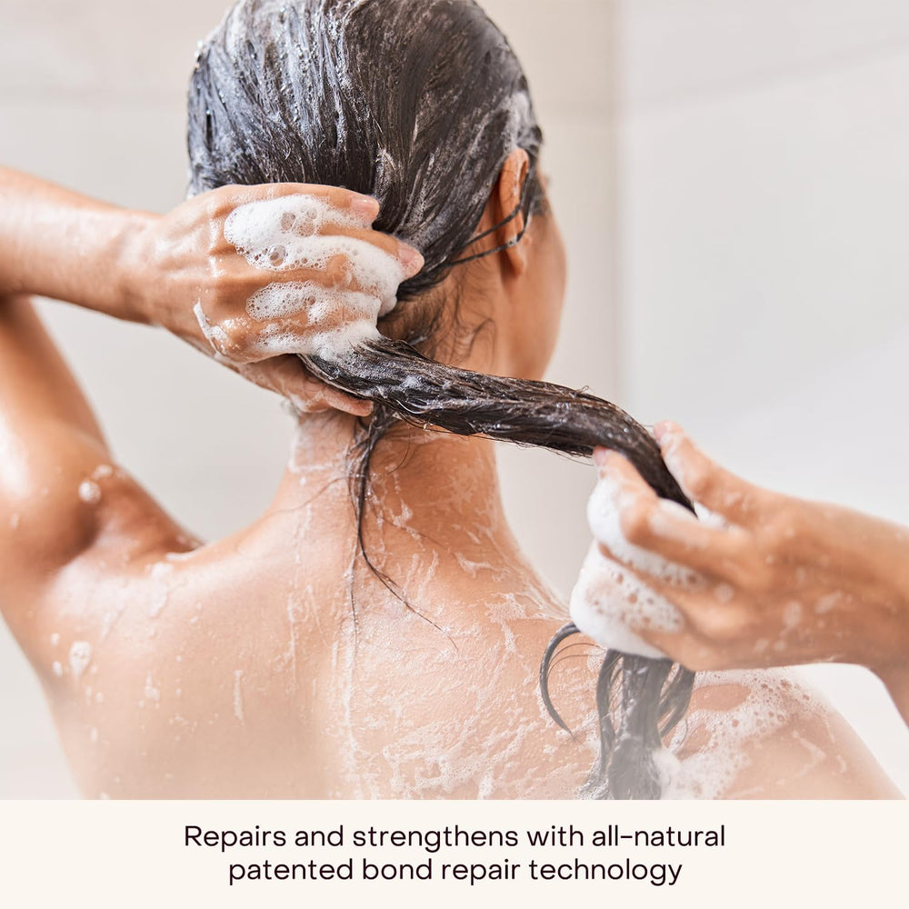 Everist shampoo concentrate Aloe soothing scalp and smoothing hair surface.
