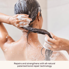 Everist shampoo concentrate Aloe soothing scalp and smoothing hair surface.