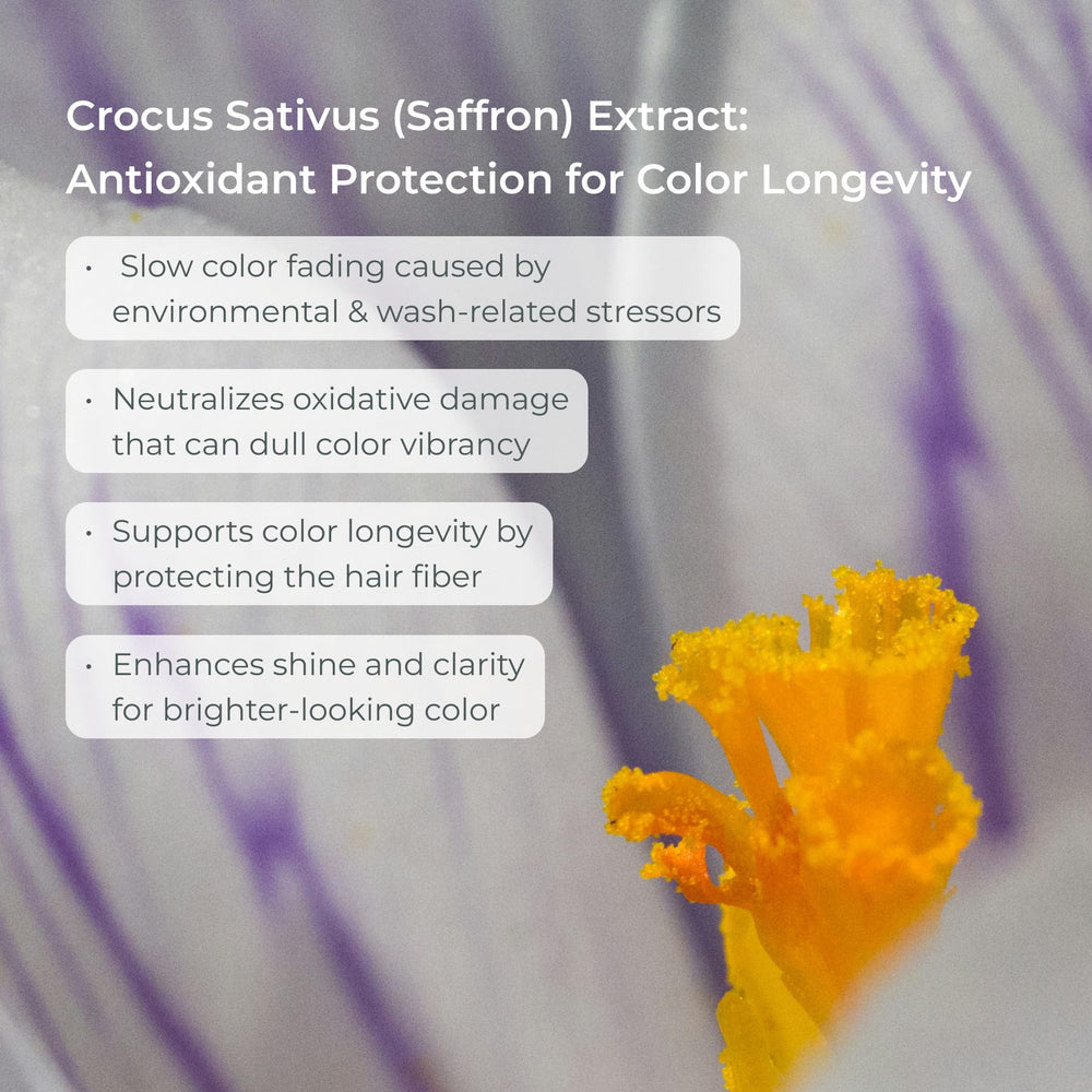 EVOLVh SmartColor Shampoo vegan ingredients scene communicates clean beauty.
