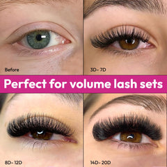 Eyesy Lash 5D 0-07 12mm fans designed for easy pickup.