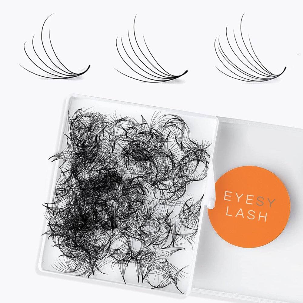 Eyesy Lash Camellia fans with 8-12mm lengths for natural dimension.
