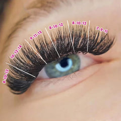 Eyesy Lash camellia premade fans help create texture and layers.