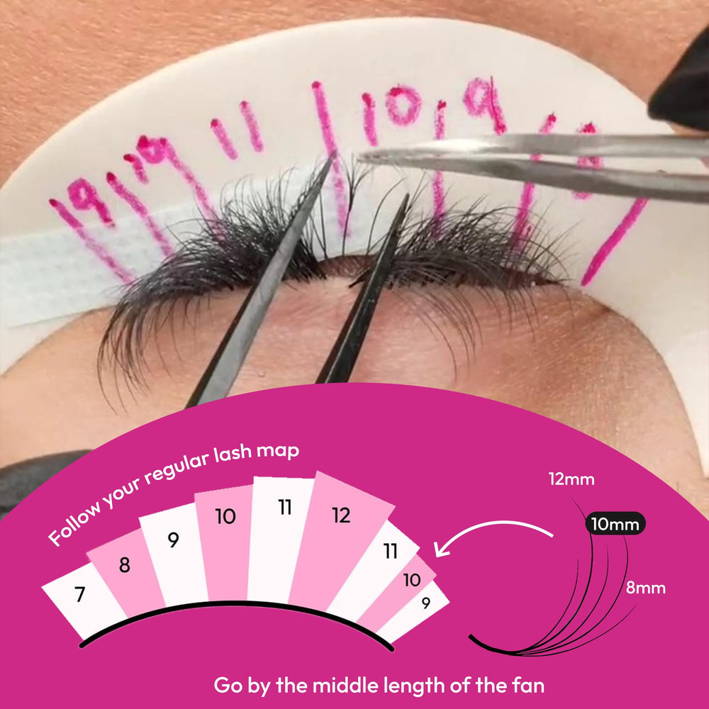 Eyesy Lash camellia promade fan case holding 480-530 fans for cost efficiency
