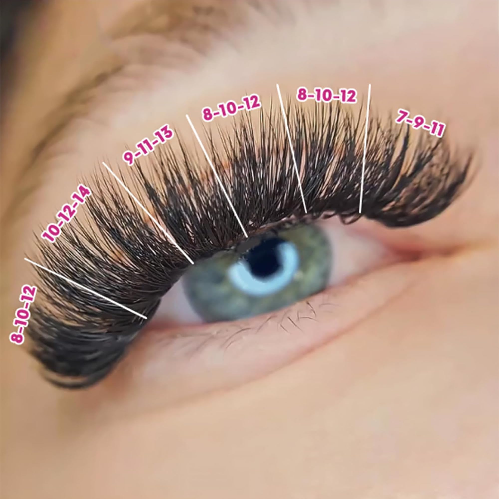 Eyesy Lash camellia promade fan with stable curl and durable base