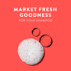 Fall packaging design with warm tones for the season