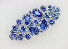 Faship blue hair clip on model demonstrates elegant formal styling.