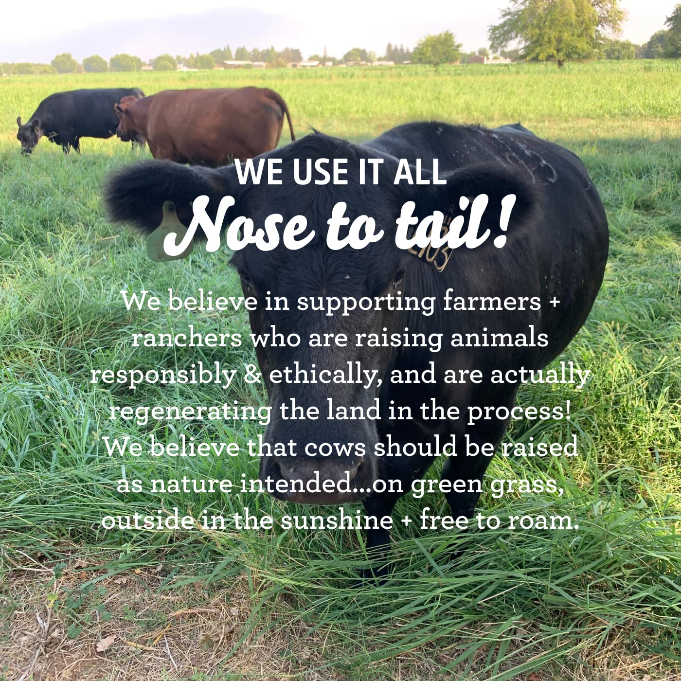 Made in the USA with grass-fed tallow for quality