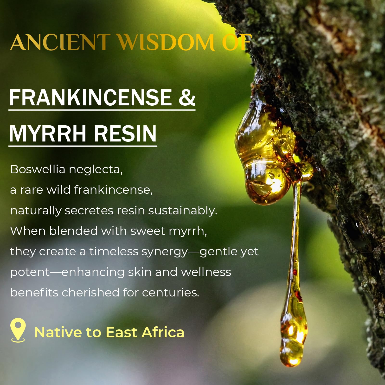 FeeMeFee Frankincense Balm protective barrier emphasizes long-lasting moisture and smooth skin