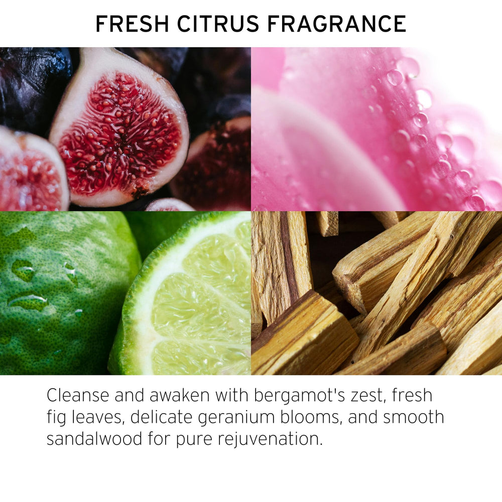 Ingredients highlight of FEKKAI Blonde Rx with vitamin B5 and plant oils
