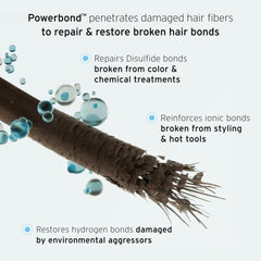 Conditioner close-up showing anti-breakage benefit and smoothing finish