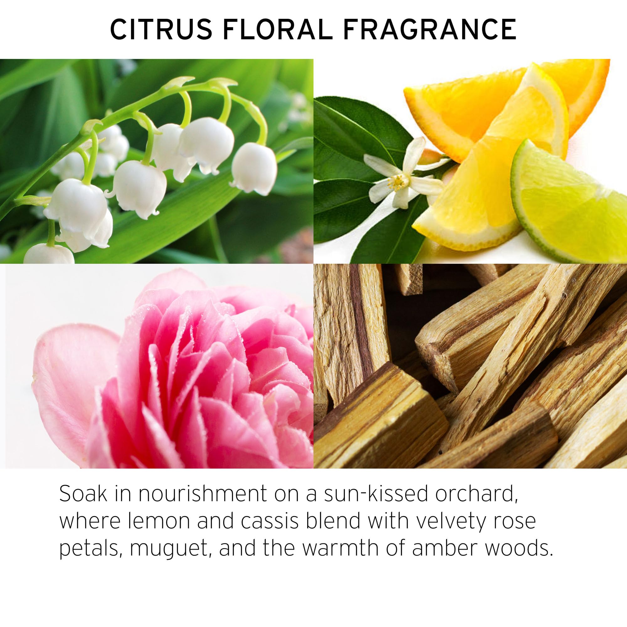 Fekkai Technician Color Shampoo Mirabelle Plum oil detail supports hydration and color retention.