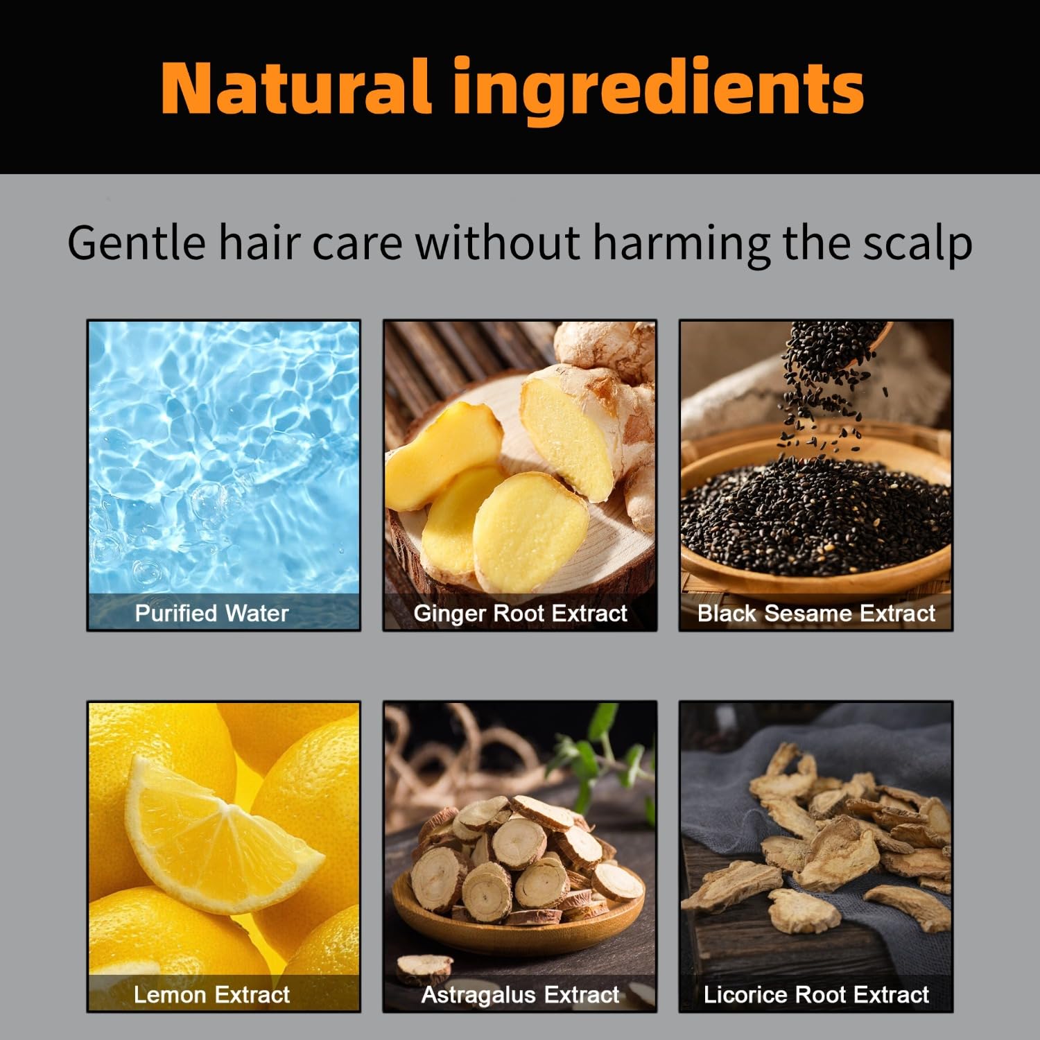 FHH Root Activator Shampoo with leaf extract highlighted.