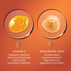 Findley All-in-One Serum droplet on skin shows quick hydration absorption.