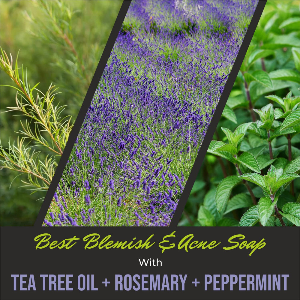 First Botany Rosemary Mint shower scene suits active lifestyles