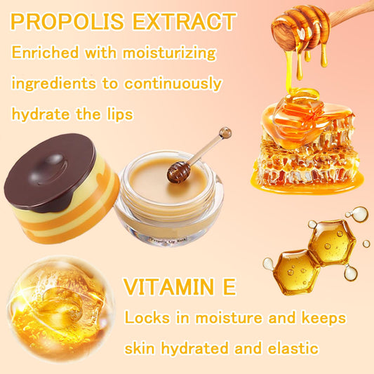 FNOLECY Bee Lip Balm Honey Pot watermelon for refreshing moisture
