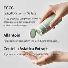 FORETDERM Matcha Enzyme FX matcha powder visual showing green tea ingredients
