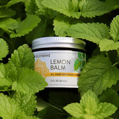 Ingredients closeup of Four Elements Lemon Balm Cream with chamomile and shea butter.