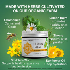 Four Elements Lemon Balm Cream jar closeup reveals a natural herbal formula.