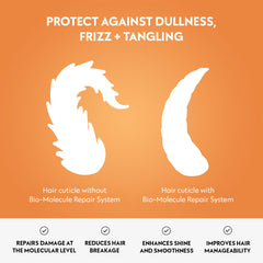 Four Reasons Damaged hair repair action showing strengthened strands and elasticity.