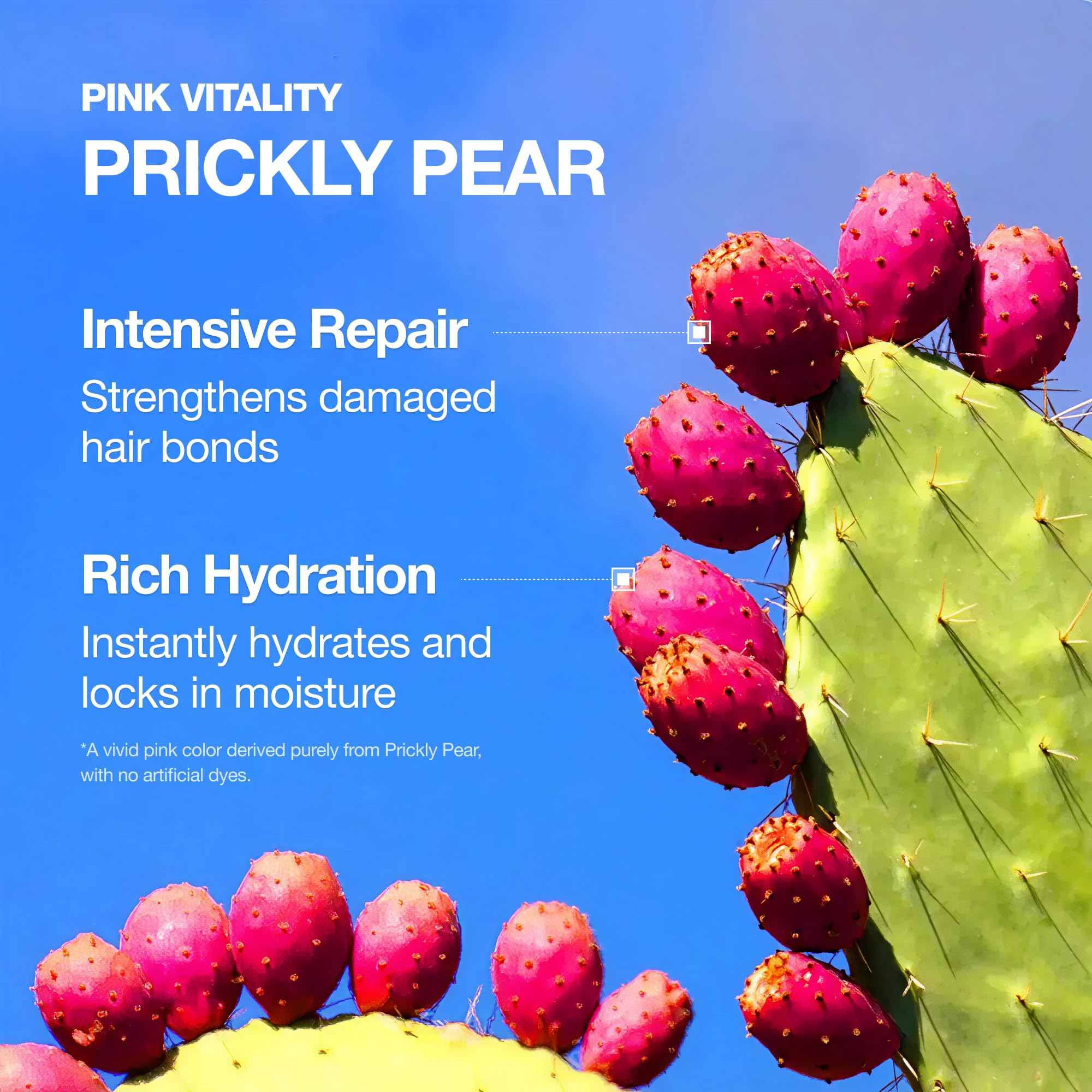 FromLabs hydration and strength balance from prickly pear and panthenol.