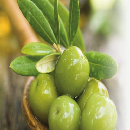Fruits and Passion Cucina packaging flat lay, gift-ready Mediterranean-inspired duo.