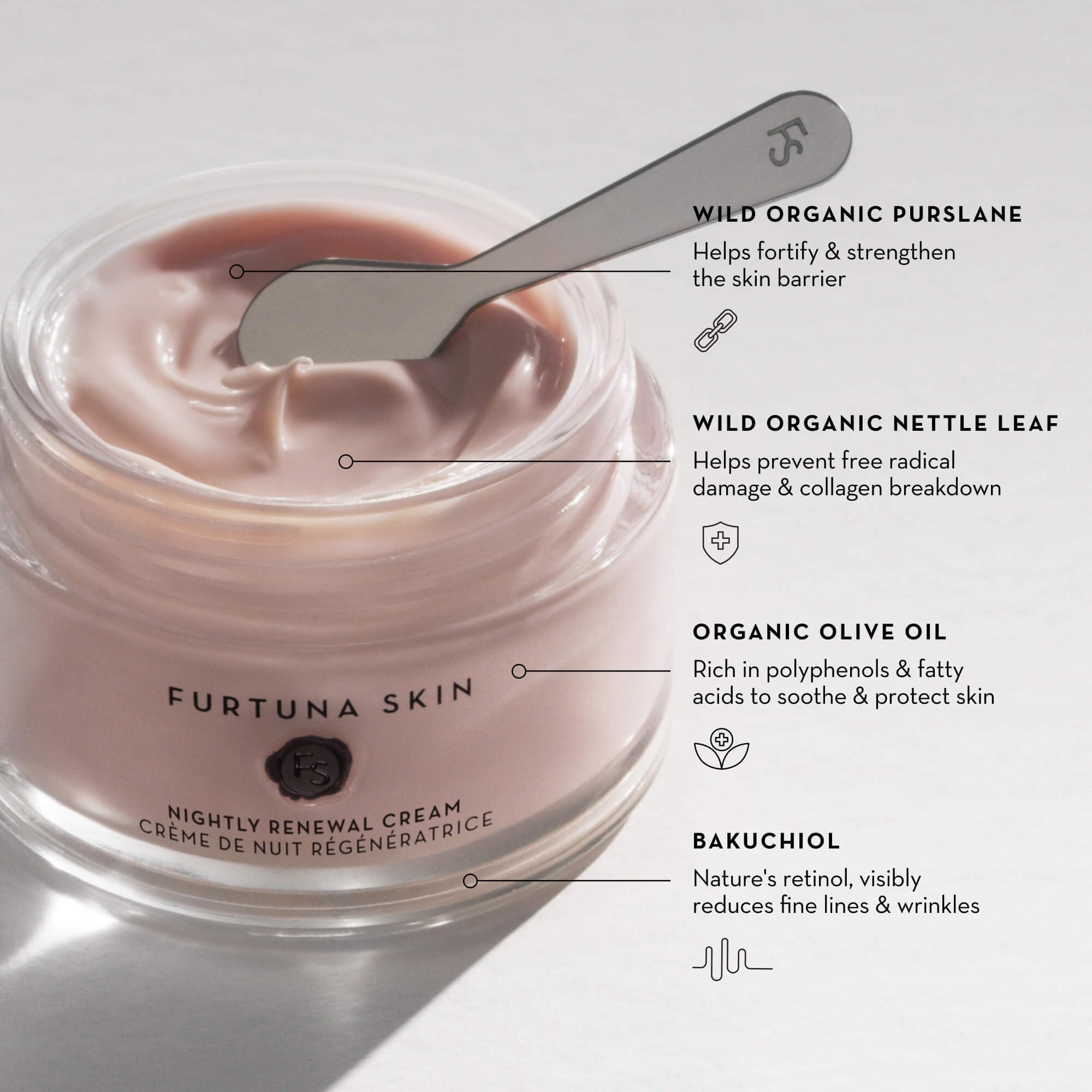 Bakuchiol ingredient spotlight in Furtuna Skin Nightly Renewal Cream for gentle smoothing