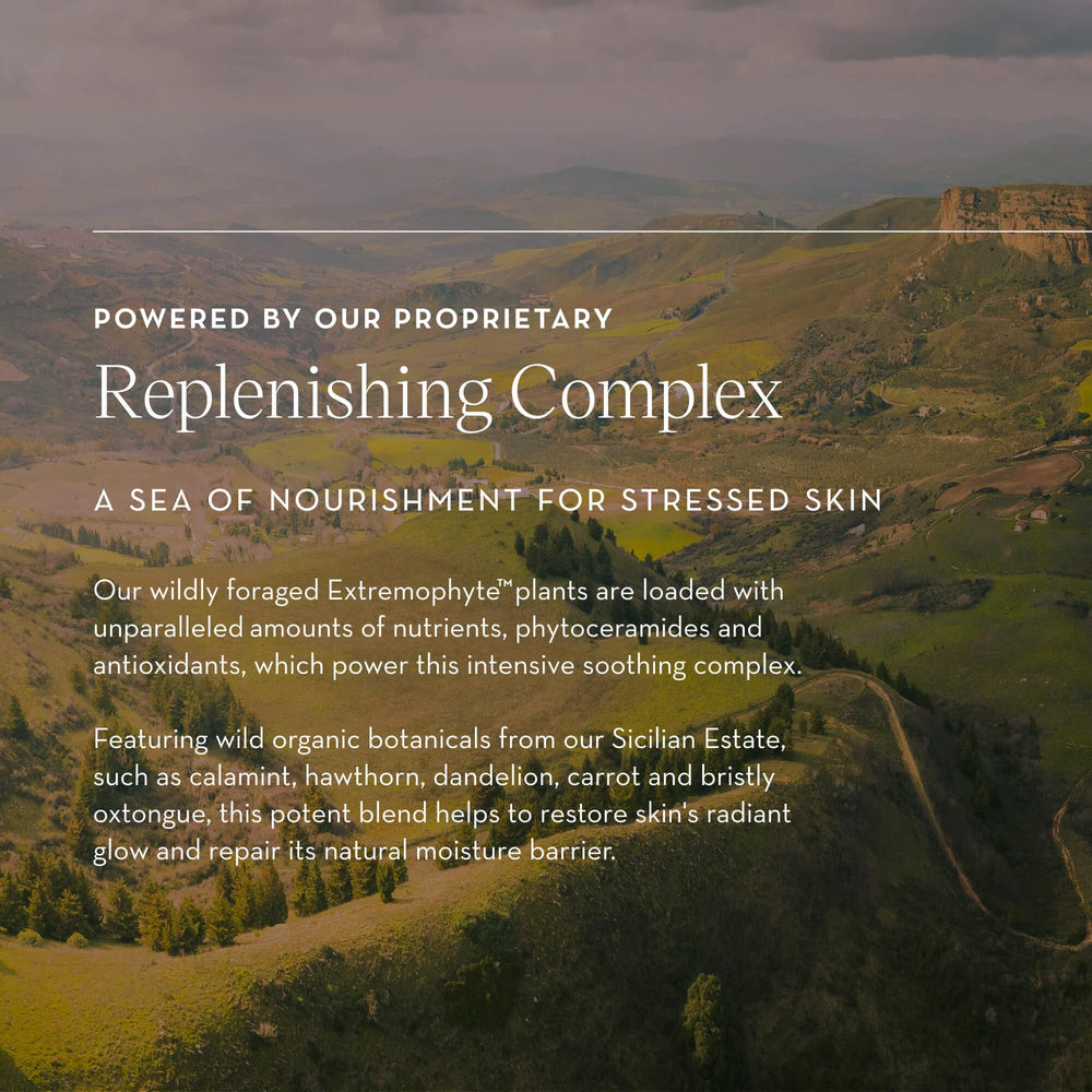 Furtuna Skin Rinascita Olive Replenishing Balm non-occlusive formula highlights waterless care.
