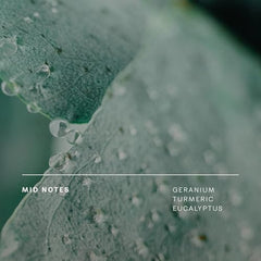 Close-up of bergamot and grapefruit notes inside the bottle, suggesting bright citrus.