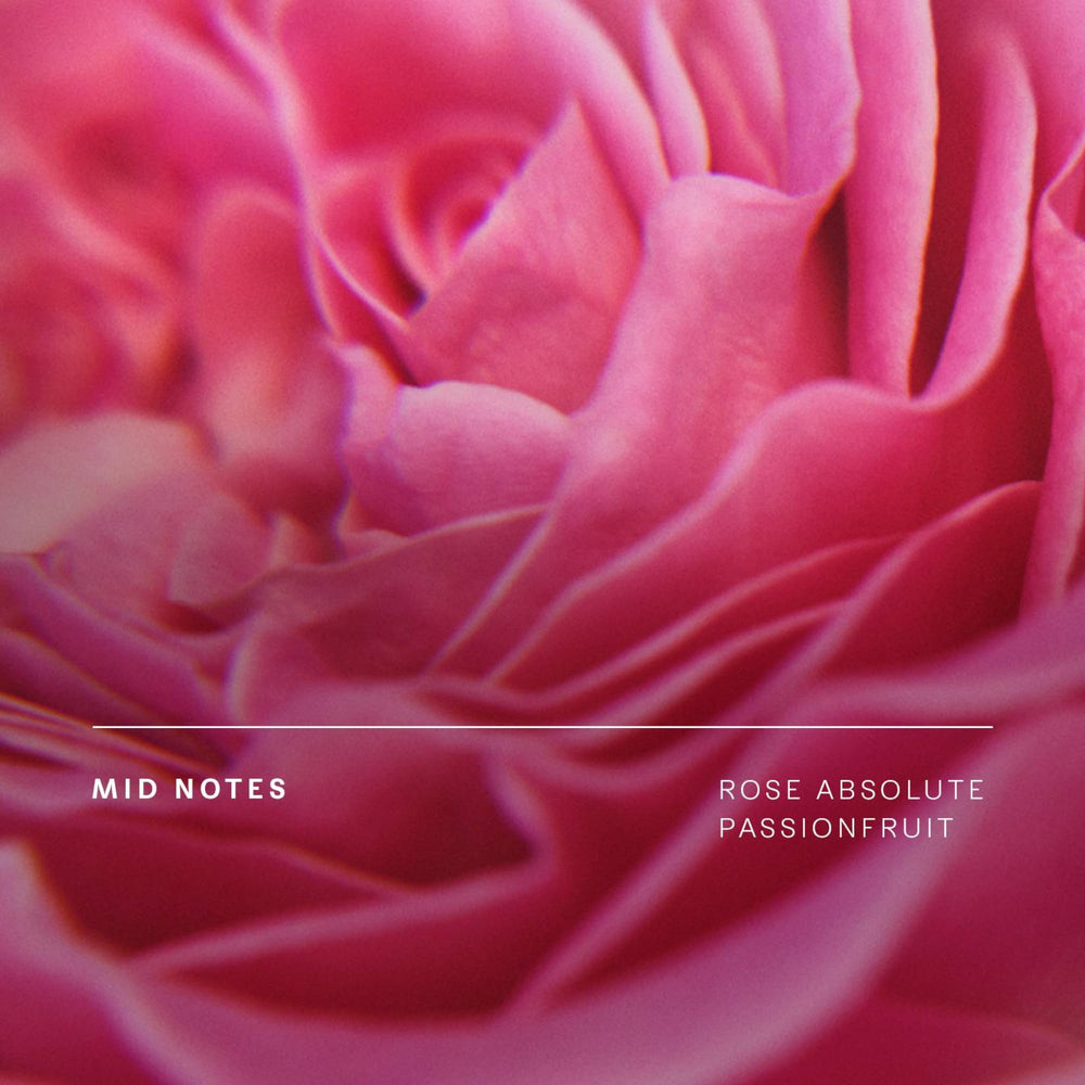 Future Society Haunted Rose label embossing adds premium appeal for fragrance collectors.