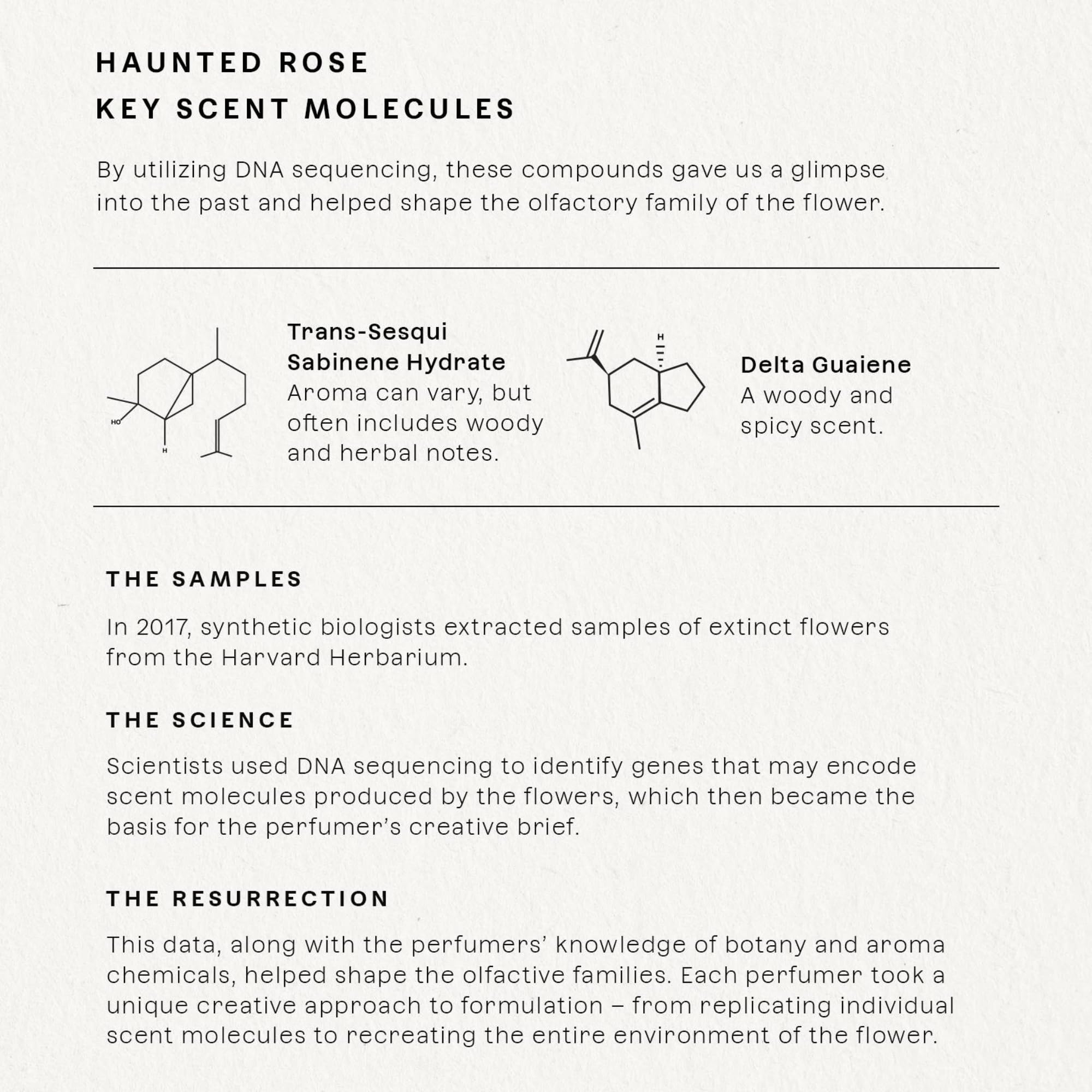 Future Society Haunted Rose packaging detail shows elegant glass, perfect for a luxury gift.