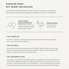 Future Society Haunted Rose packaging detail shows elegant glass, perfect for a luxury gift.