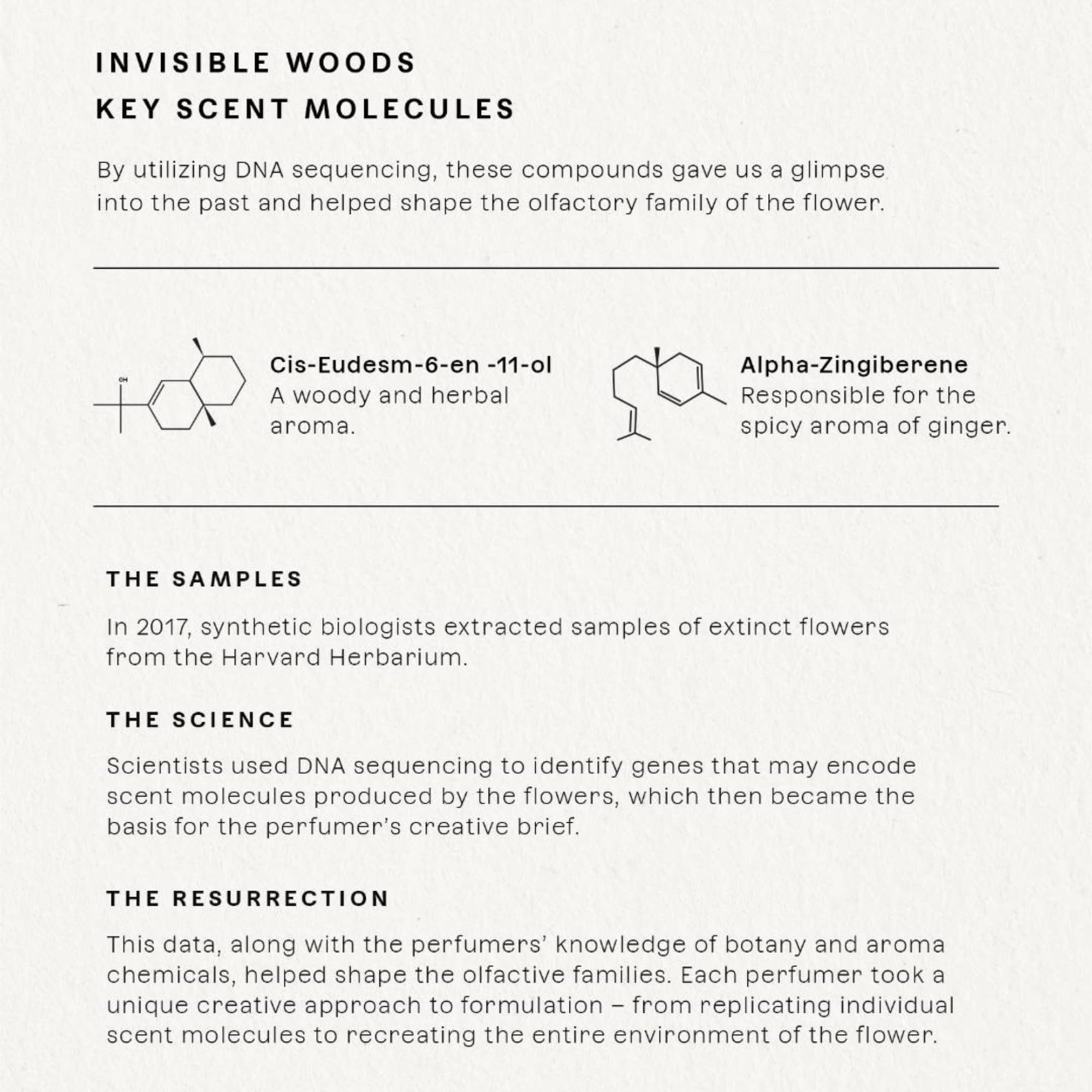 Future Society Invisible Woods eucalyptus note highlights refreshing, crisp scent