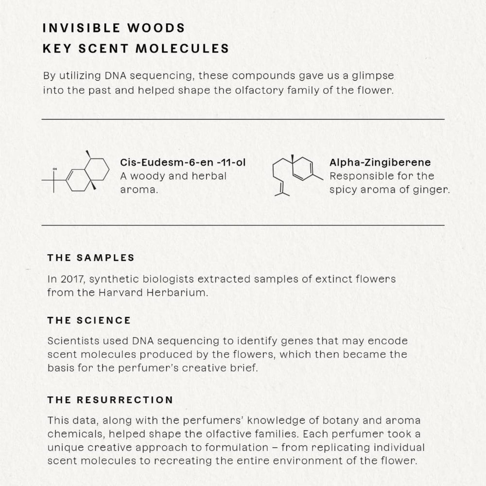 Future Society Invisible Woods eucalyptus note highlights refreshing, crisp scent