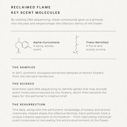 Future Society Reclaimed Flame pour moment, hinting at vibrant bergamot and grapefruit release.