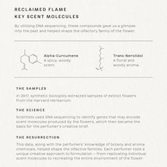 Future Society Reclaimed Flame pour moment, hinting at vibrant bergamot and grapefruit release.