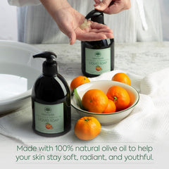 GAIA Oliva olive oil ingredient close-up highlighting natural formula