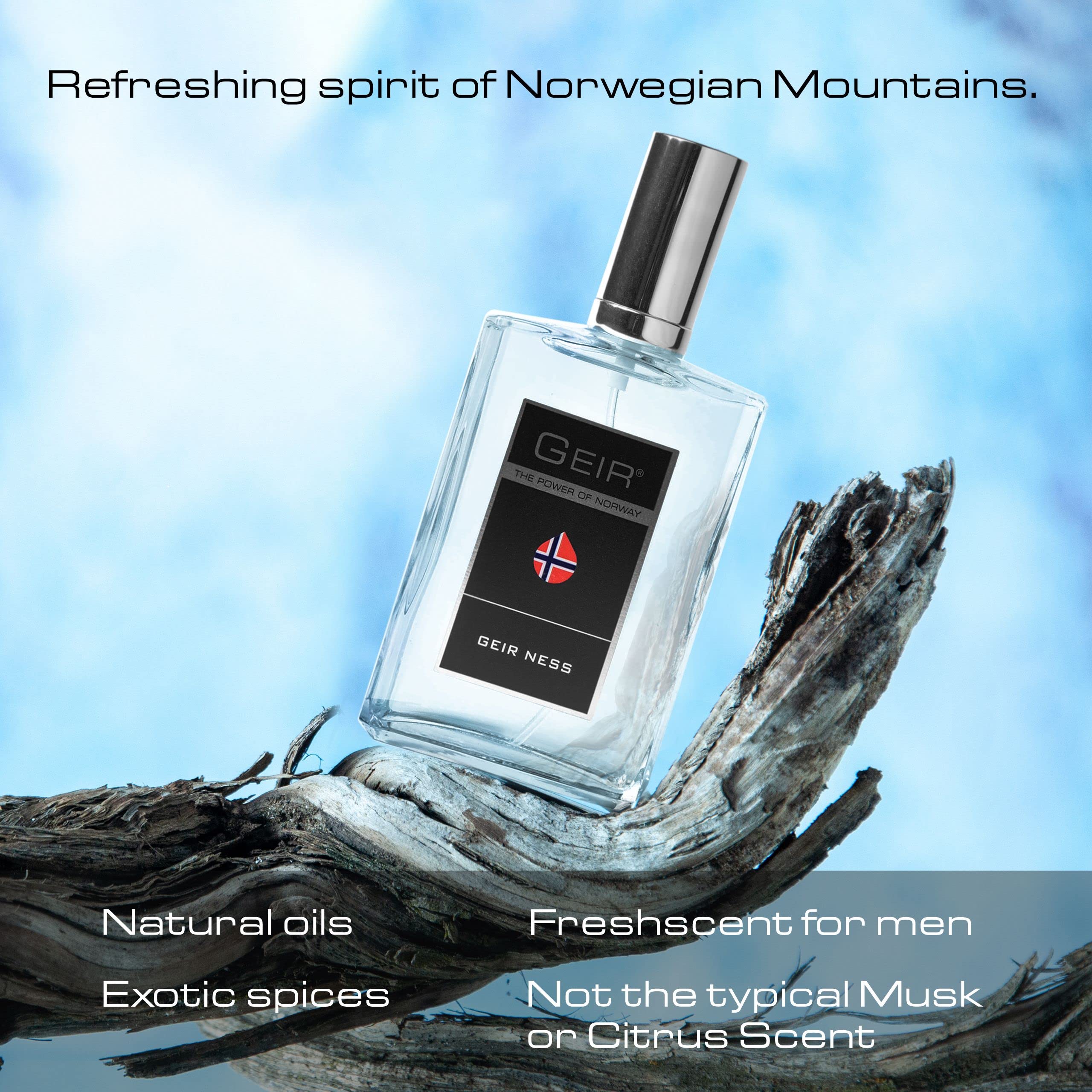 Geir Ness Geir Eau de Parfum Spray for Men in-store display appeals to gift buyers