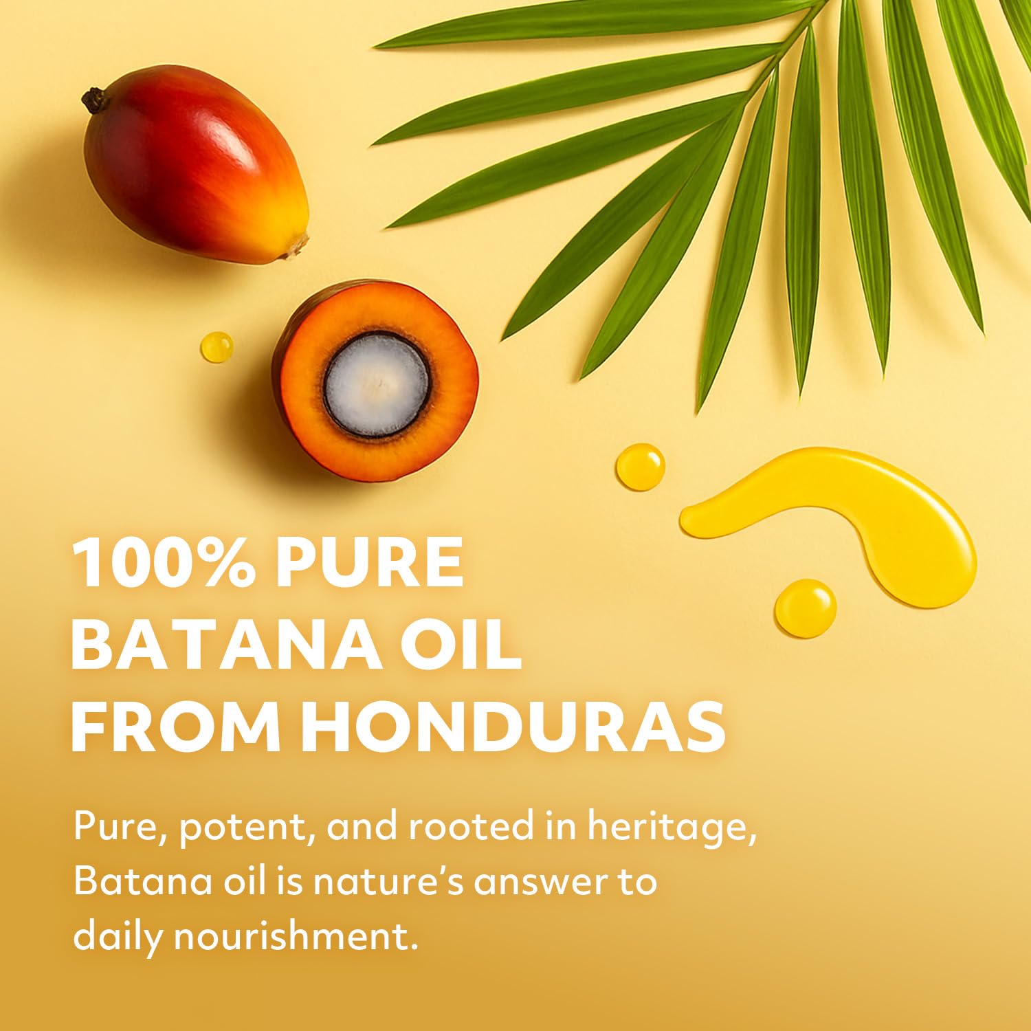 GEO BOUNTY Batana Oil packaging shows 1.7 oz size for travel.
