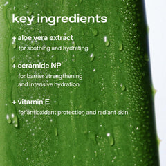 Glow Aloe Barrier Moisturizer packaging front with vegan label for gentle care