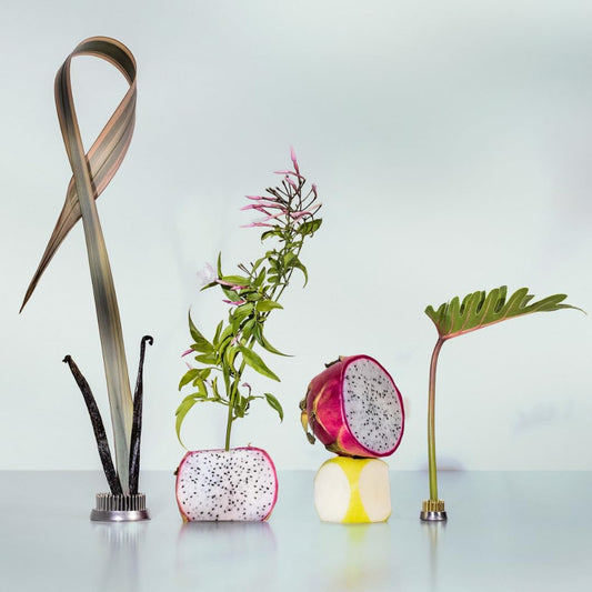 Good Chemistry Dragon Fruit magnolia scent notes in a compact bottle.