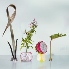 Good Chemistry Dragon Fruit magnolia scent notes in a compact bottle.