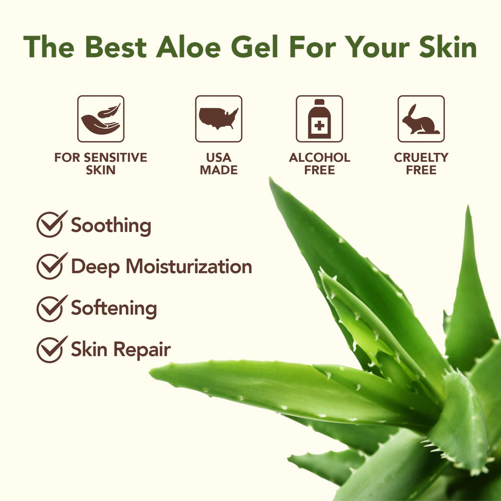 Freshly cut Texas aloe leaves used to produce Green Leaf Naturals Aloe Gel