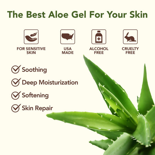 Freshly cut Texas aloe leaves used to produce Green Leaf Naturals Aloe Gel