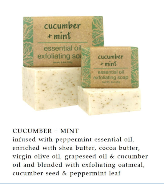 Close-up of Greenwich Bay cucumber mint exfoliating bar highlighting oils and exfoliation.