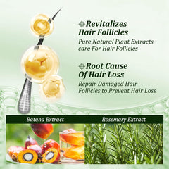 Gypsophila Batana Oil Shampoo creamy lather demonstrates sulfate free cleansing