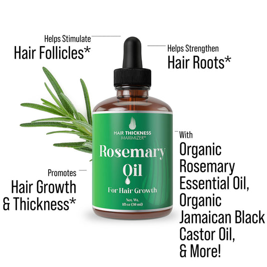 Application of Hair Thickness Maximizer rosemary oil on the scalp for growth-friendly routine
