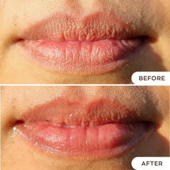 Hanalei Lip Treatment grapeseed oil drop provides antioxidant lip protection.