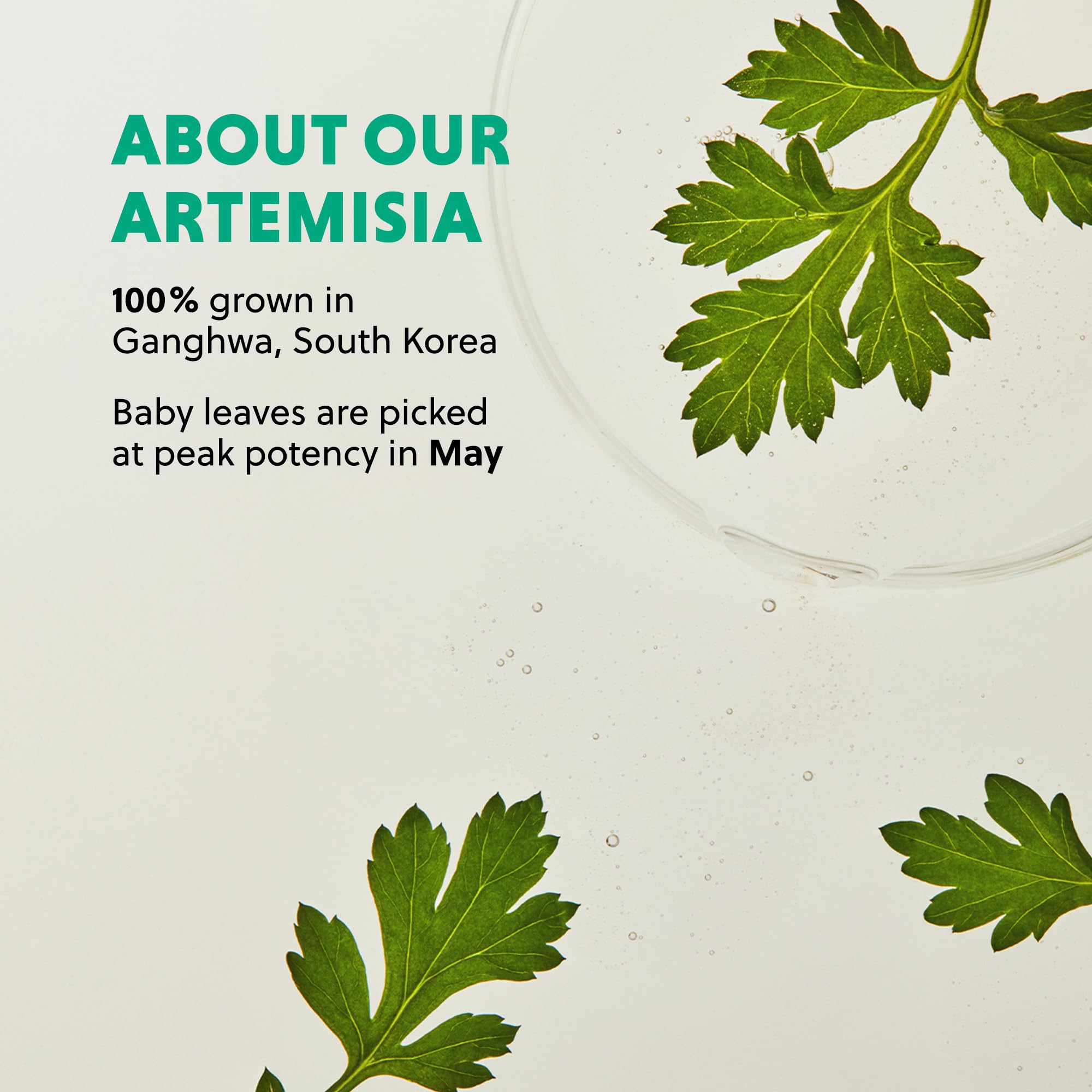 Hanyul Artemisia Soothing Gel Cream cooling effect after heat exposure