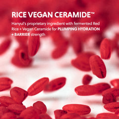 HANYUL vegan ceramide complex illustration emphasizes barrier support.